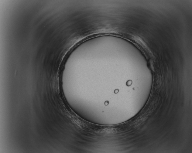 X0000052611268200507160028