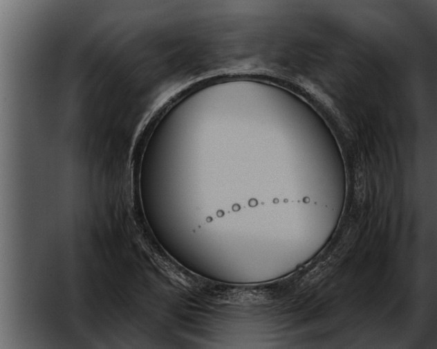 X0000052611270200507160028