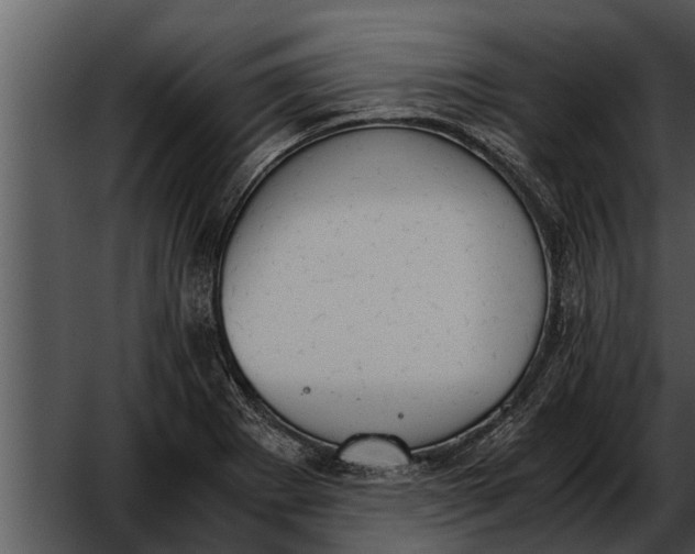 X0000052611273200507160028