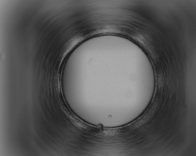 X0000052611274200507160028