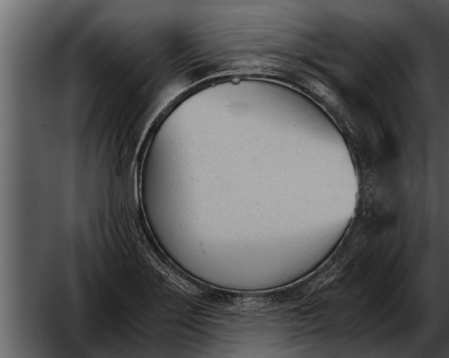 X0000052611275200507160028