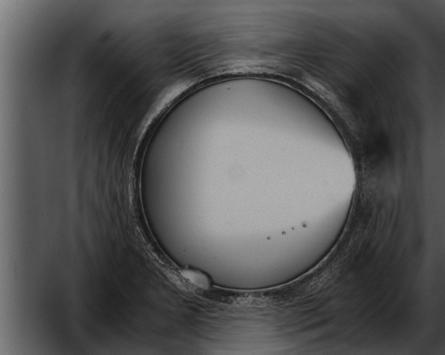 X0000052611277200507160028