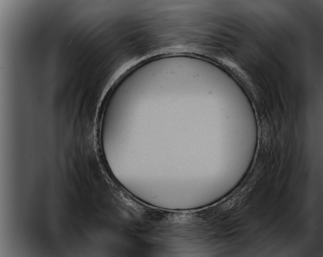 X0000052611278200507160028