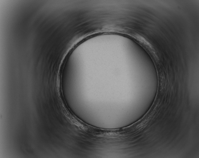 X0000052611280200507160028