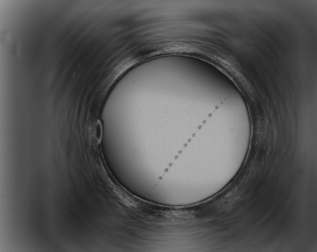 X0000052611281200507160028