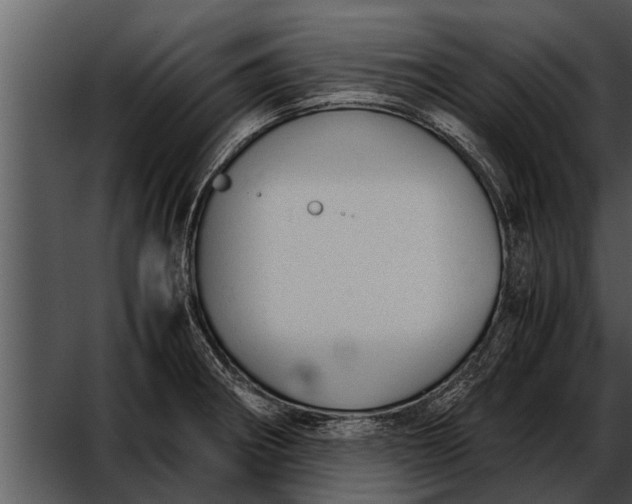 X0000052611282200507160028