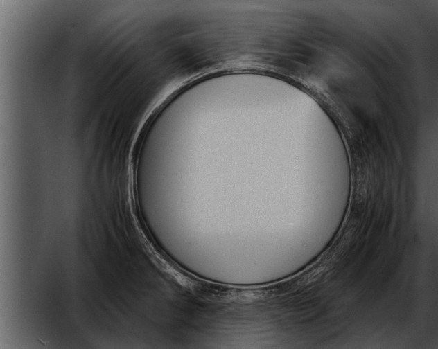 X0000052611286200507160027