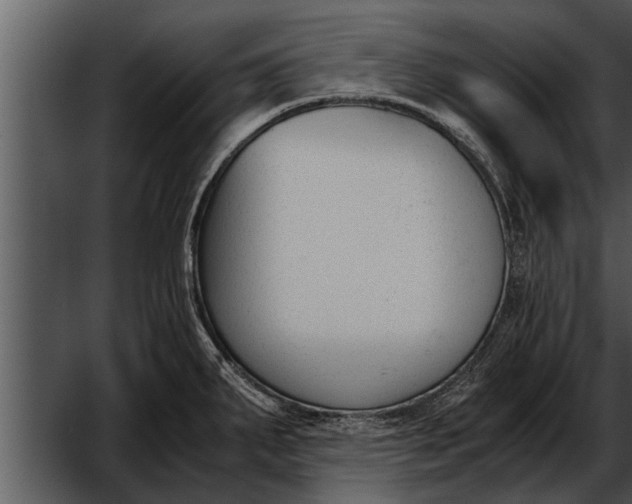 X0000052611287200507160027