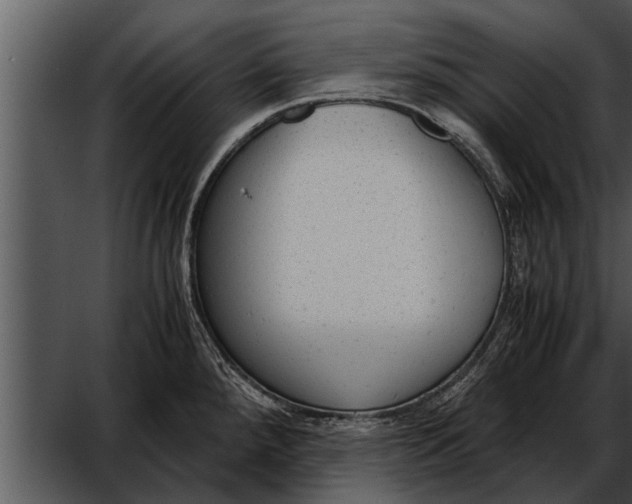 X0000052611288200507160027