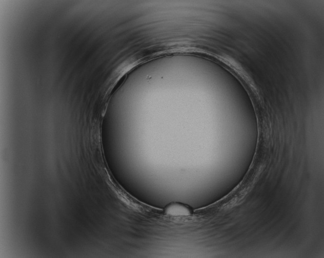 X0000052611289200507160027