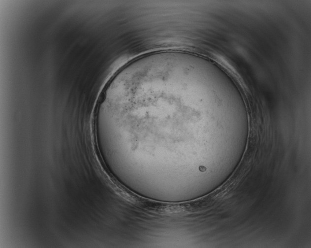 X0000052611291200507160027