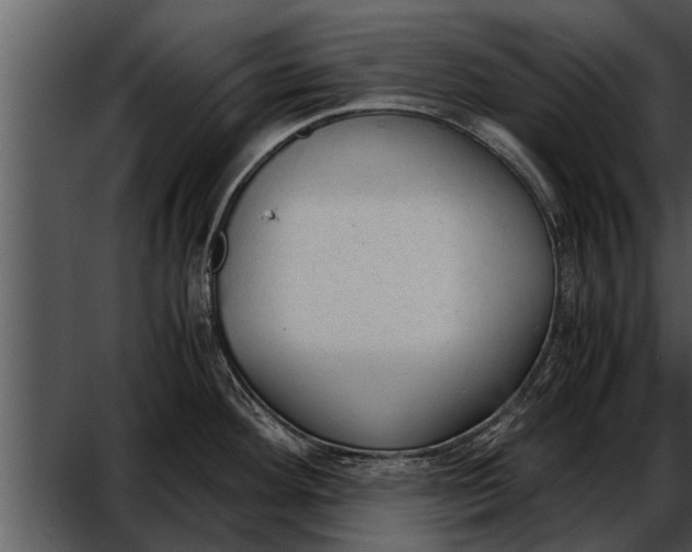 X0000052611292200507160027