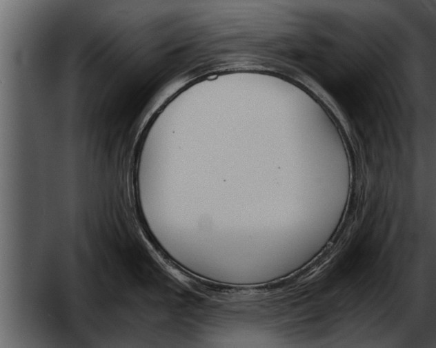 X0000052611293200507160027