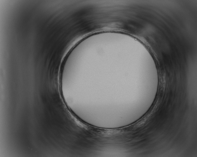 X0000052611294200507160027