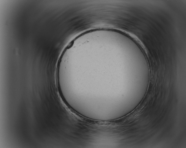 X0000052611295200507160027