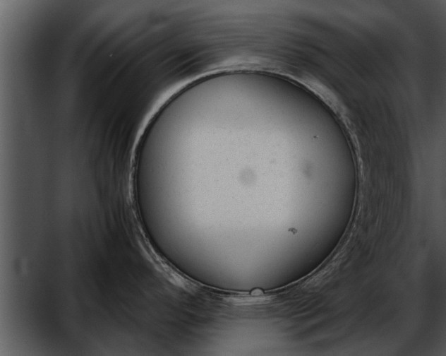 X0000052611296200507160027