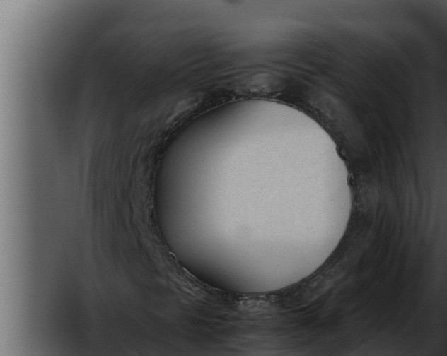 X0000052611297200507160026