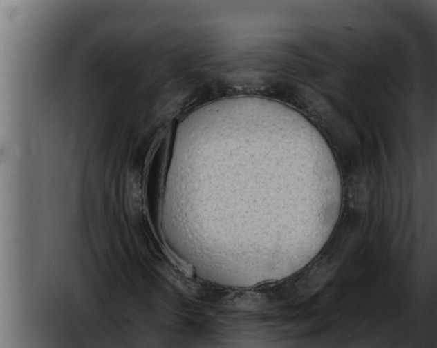 X0000052611298200507160026