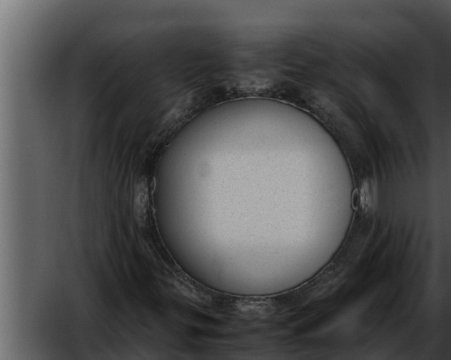 X0000052611299200507160026