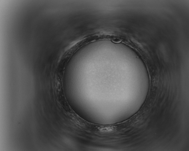 X0000052611303200507160027