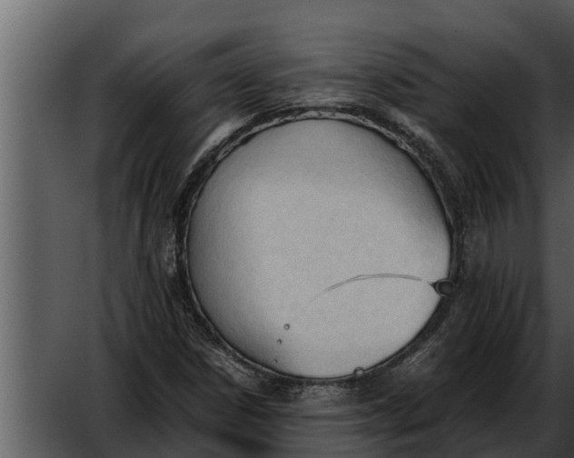 X0000052611306200507160027