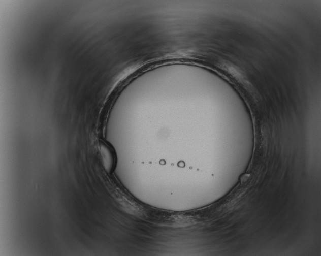 X0000052611308200507160027