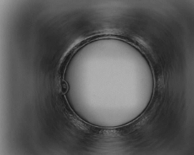 X0000052611310200507160027