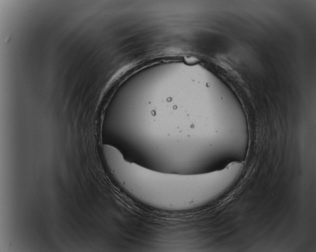 X0000052611314200507160027