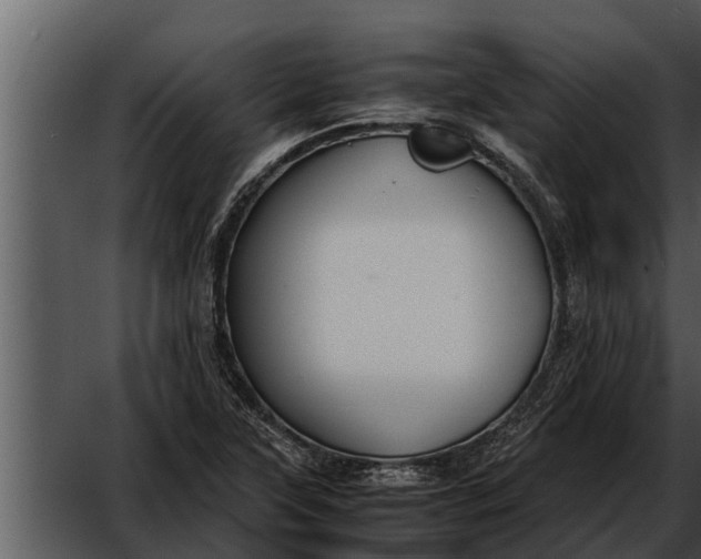 X0000052611315200507160027