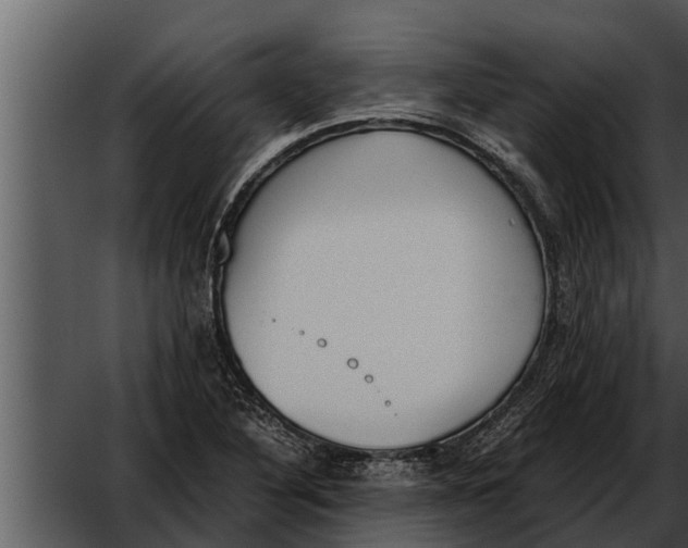 X0000052611316200507160027