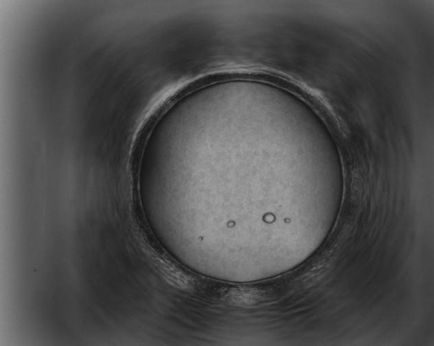 X0000052611319200507160027