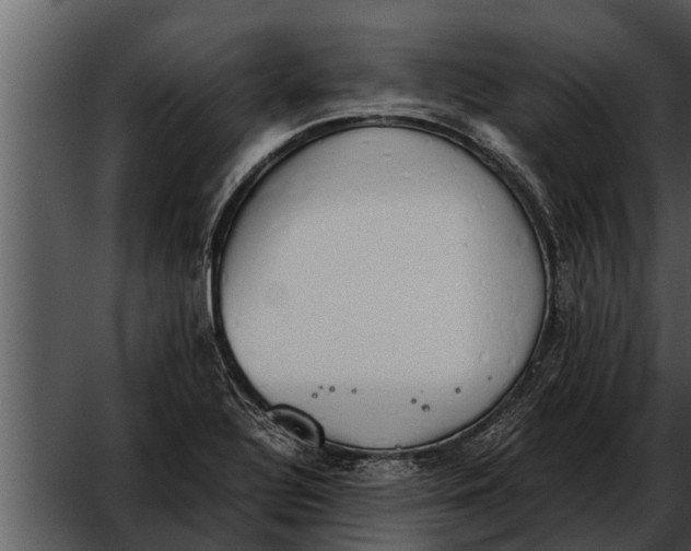 X0000052611320200507160027