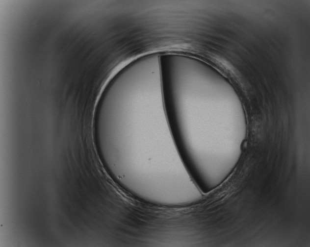 X0000052611324200507160027