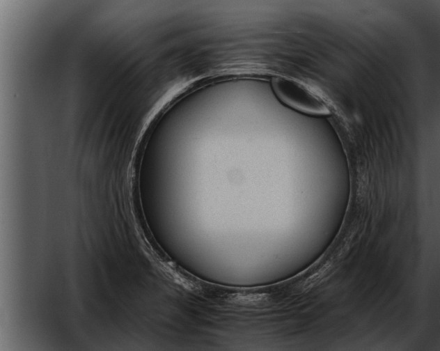 X0000052611325200507160027