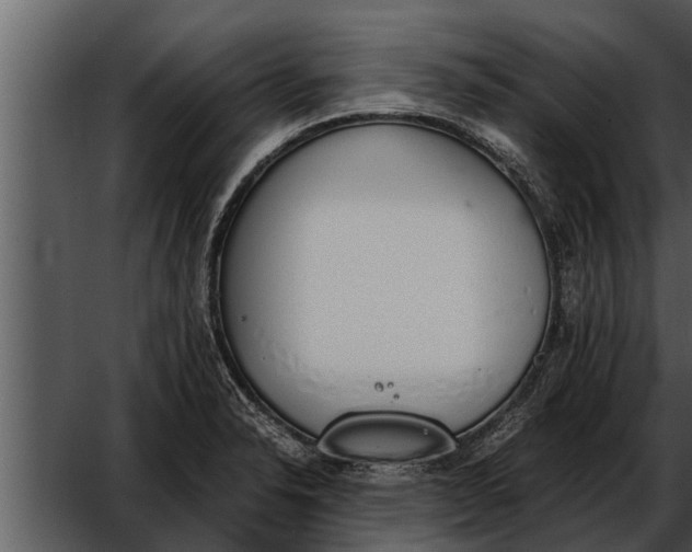 X0000052611326200507160027