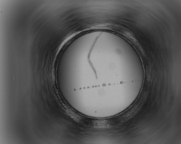 X0000052611328200507160027