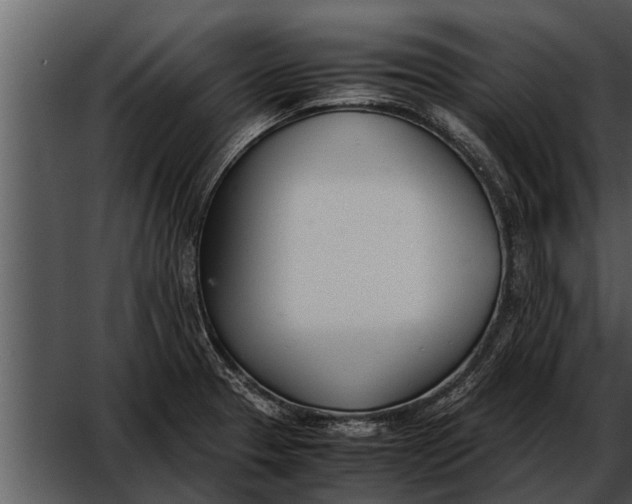 X0000052611329200507160027