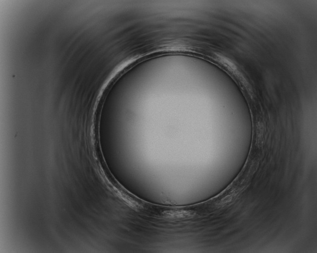 X0000052611331200507160027