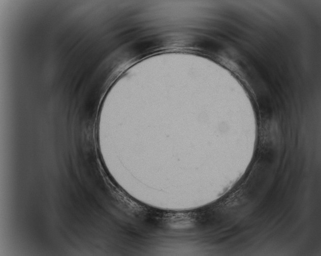 X0000052611338200507160027