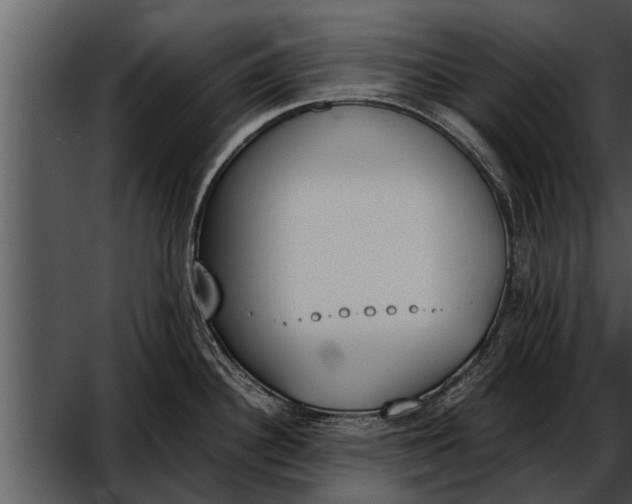 X0000052611340200507160027