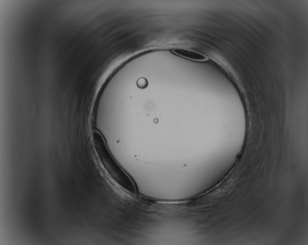 X0000052611344200507160027