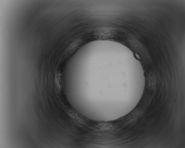 X0000052611346200507160026