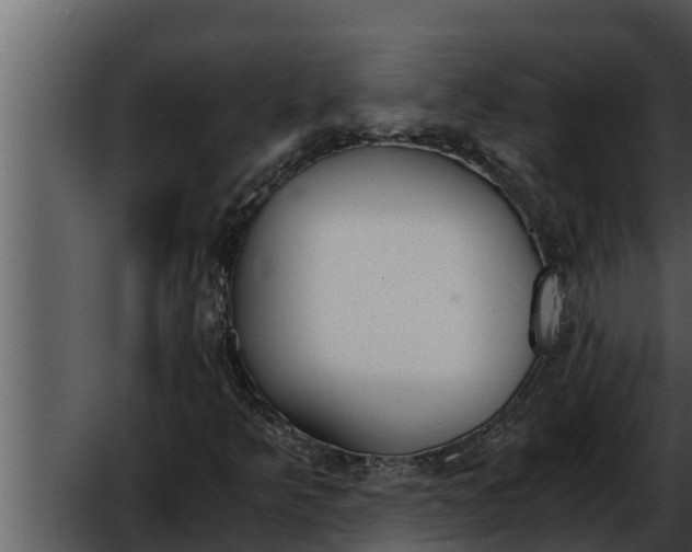 X0000052611349200507160026