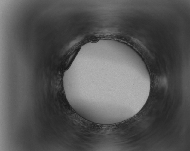 X0000052611350200507160026