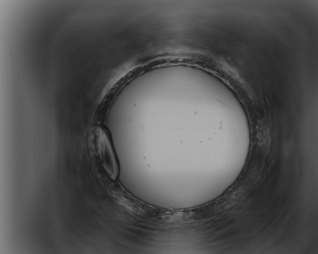 X0000052611352200507160026