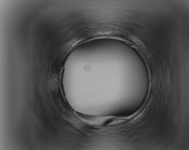 X0000052611353200507160026