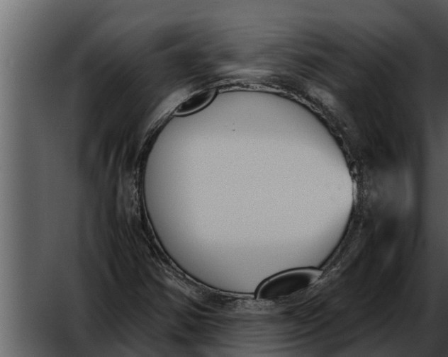 X0000052611354200507160026