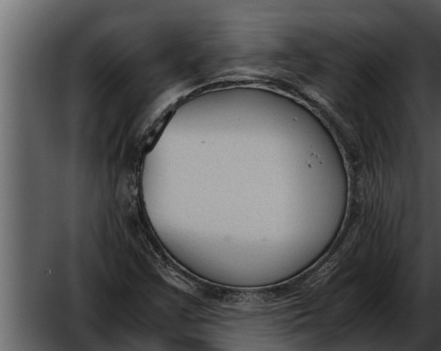 X0000052611355200507160026