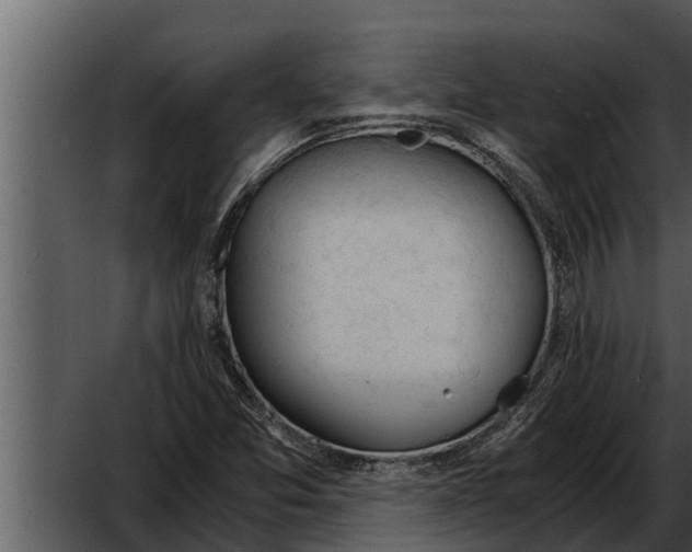 X0000052611357200507160026