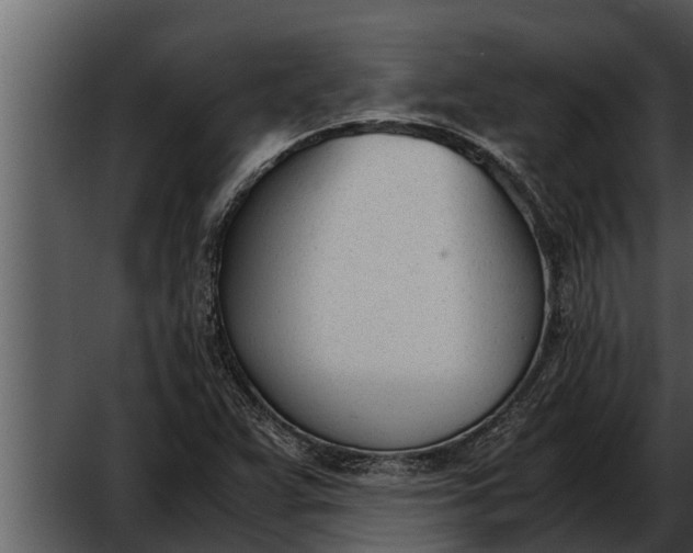 X0000052611359200507160026